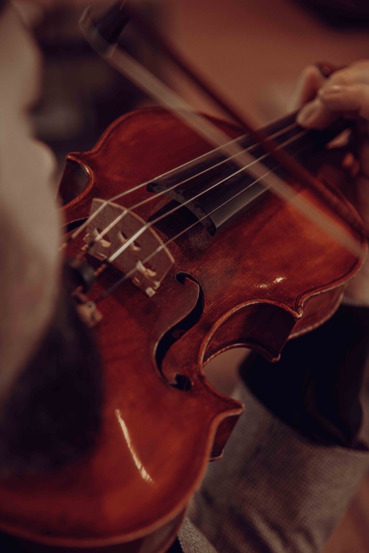Le violon, en jeu
